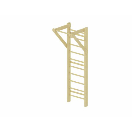兒童樂園設備-健（jiàn）身架（jià）